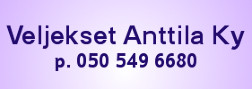 Veljekset Anttila Ky logo